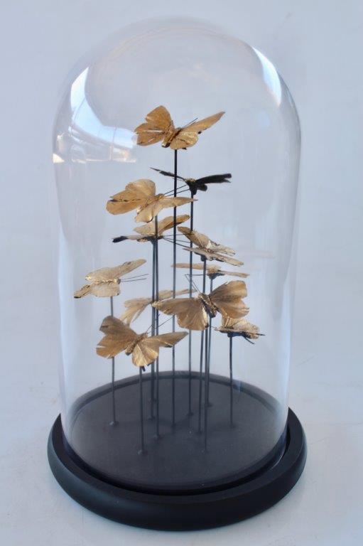 Large Glass Dome Gold Butterflies